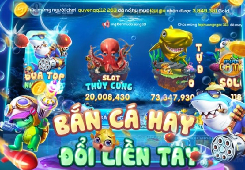 Bắn cá bingo nhà cái Nowgoal - Trải nghiệm giải trí không giới hạn Bắn cá bingo nhà cái Nowgoal - Trải nghiệm giải trí không giới hạn