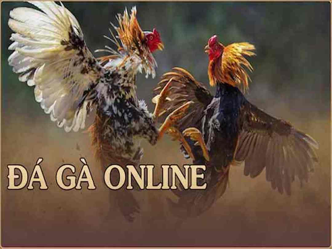 Các loại đá gà online - Khám phá những kiểu đá gà phổ biến và cách tham gia Các loại đá gà online - Khám phá những kiểu đá gà phổ biến và cách tham gia