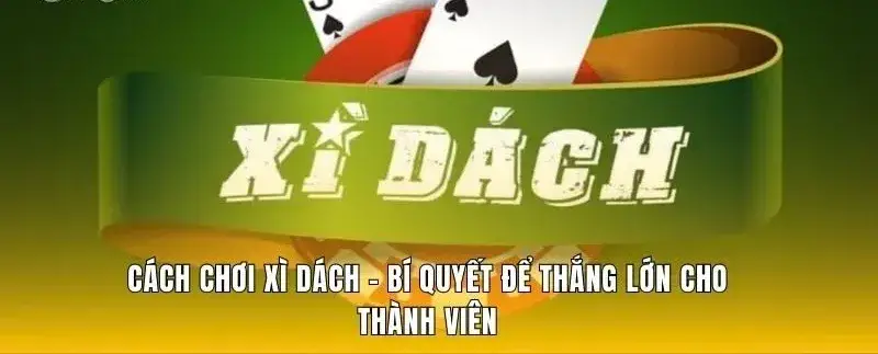 Cách chơi xì dách nhà cái Nowgoal - Thế Giới Thú Vị của Game Bài 3 cach choi xi dach nha cai nowgoal 682b31df8e156