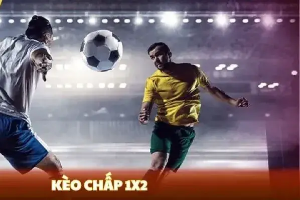 Kèo chấp 1/2 nhà cái Nowgoal - Giải mã bí mật cho người mới chơi 2 keo chap 1 2 nha cai nowgoal 682b348ee4f8a