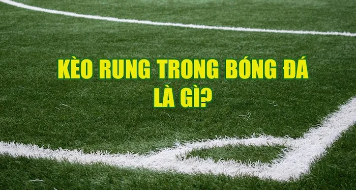 Kèo rung bóng đá nhà cái Nowgoal - Áp dụng hiệu quả trong cá cược 4 keo rung bong da nha cai nowgoal 682b2db73495d